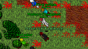 Maverick'Kamikaze on screen