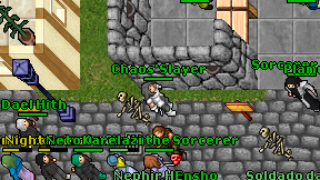 Chaos'Slayer on screen