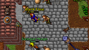 Bark Fine on screen