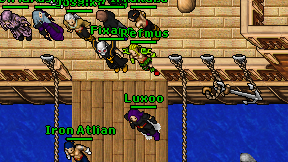 Refmus on screen