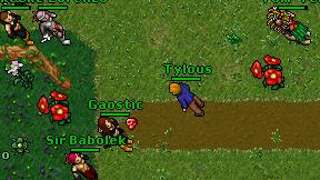 Tylous on screen