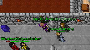 Hellz-Druid on screen
