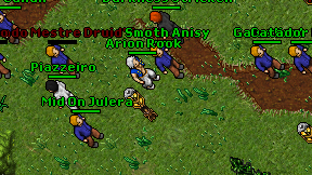 Arion Rook on screen