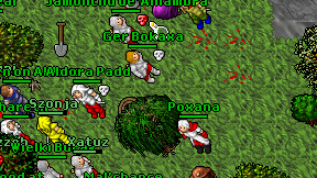 Ger Bokaxa on screen