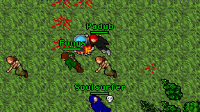 Padub on screen