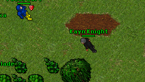 Kayn Knight on screen