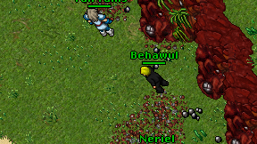 Behawul on screen