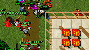 Dusuz on screen