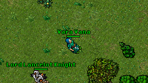 Vara Vana on screen