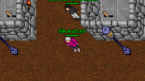 Skwater on screen