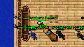 Dominko Domin on screen