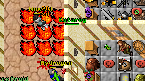 Kutarog on screen