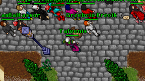 Talvenis on screen