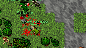 Nowy zabujca on screen