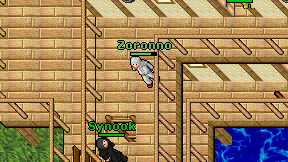 Zoronno on screen