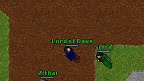 Lord of Dave on screen