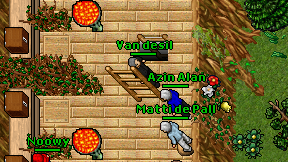 Van desil on screen