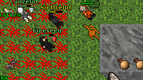 Fireseed on screen