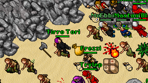 Tirro Tori on screen