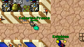 Catarina Franco on screen
