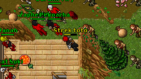 Strek toto on screen