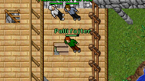 Palli fajter on screen