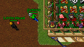 Ozhiris on screen