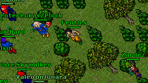 Feutles on screen