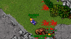 Soshki on screen