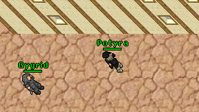 Potyra on screen