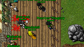 Master'Magizy on screen