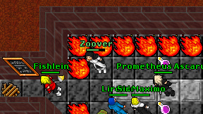 Zoover on screen