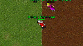 Dunes Eteroon on screen
