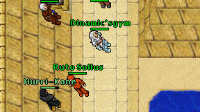 Dinamic'sgym on screen
