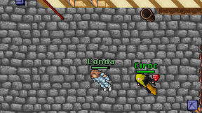 Conda on screen