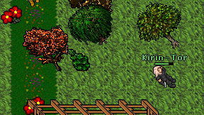 Kirin-Tor on screen