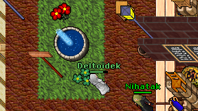 Deltoidek on screen