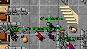Skarttvika on screen