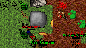 Zanahora on screen