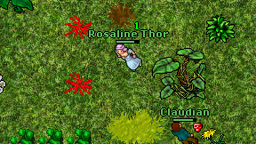 Rosaline Thor on screen