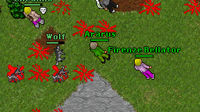 Ararus on screen