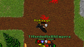 Hokayge on screen