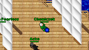 Chomiczek on screen