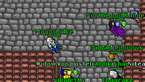 Magican Ice on screen
