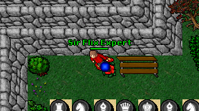 Sir Flix Expert on screen