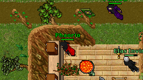 Phaorio on screen