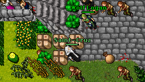 Saint-Cruz on screen