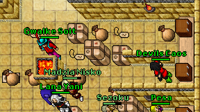 Gwalke Solt on screen