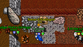 Sword Swinger on screen