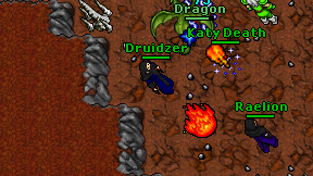 Druidzer on screen